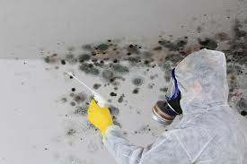 Trusted Stevenson, WA Mold Prevention & Removal  Experts